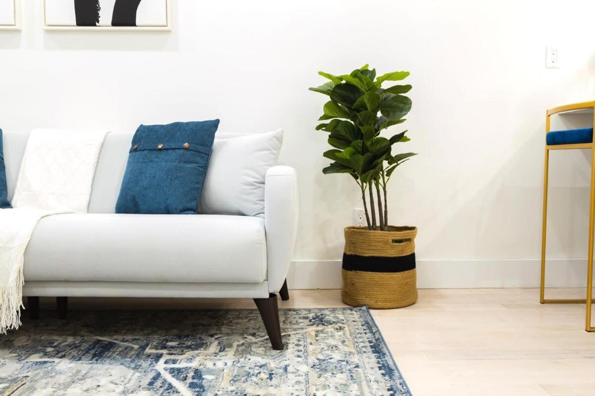 317-3d New Modern 1br W&d Apartment